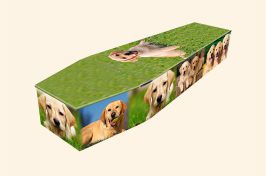 bespoke coffin with images of dogs on